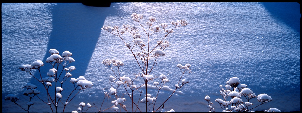 雪 小景 摄影 江雪独钓