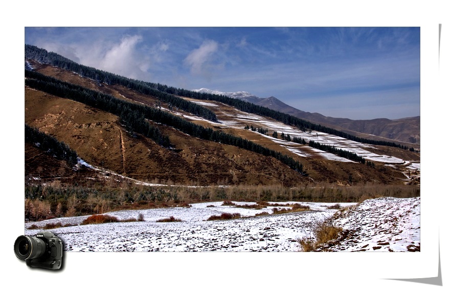 高原初雪 摄影 秦儿