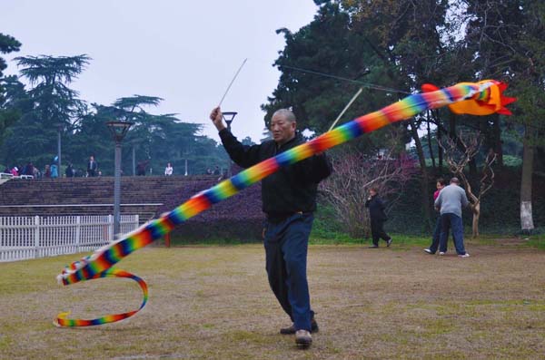 北部牛仔两度中风七七高龄不老松2 摄影 毛桂荣