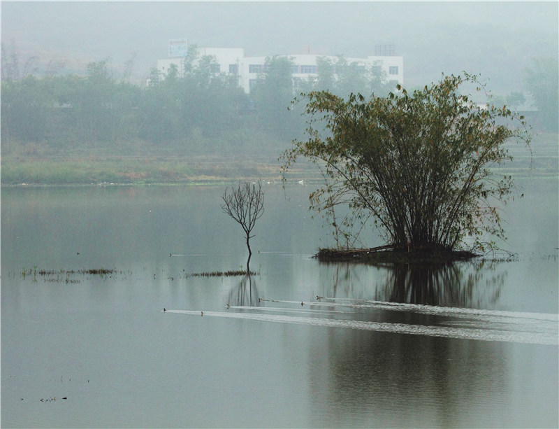 雨雾中 摄影 色色山水