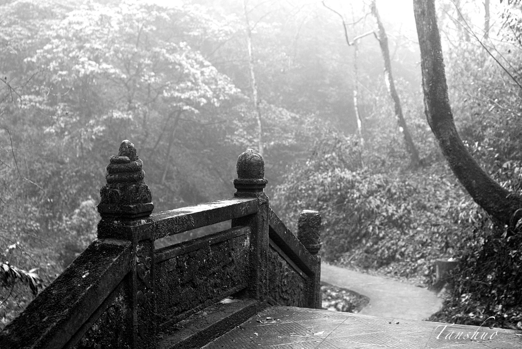 雨后 摄影 福京數碼