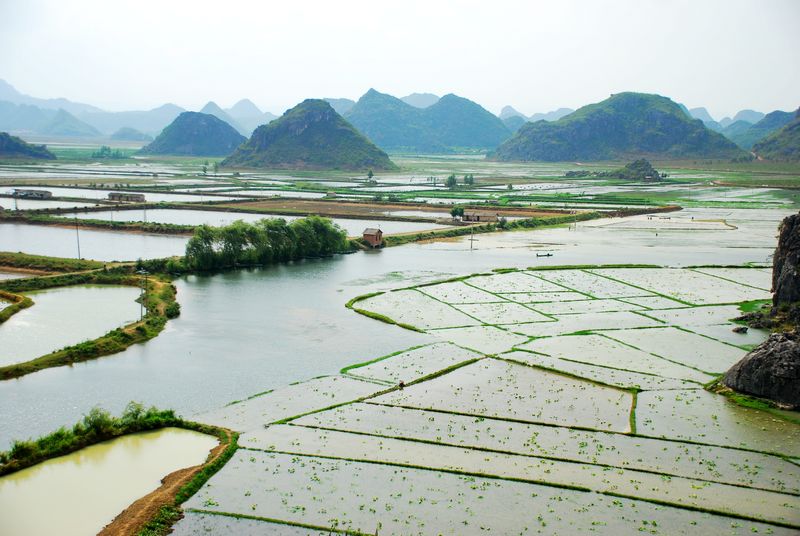 丘北普者黑湿地生境 摄影 纪军