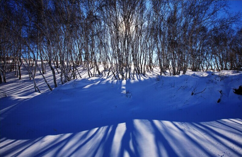 雪韵 摄影 西窗独白