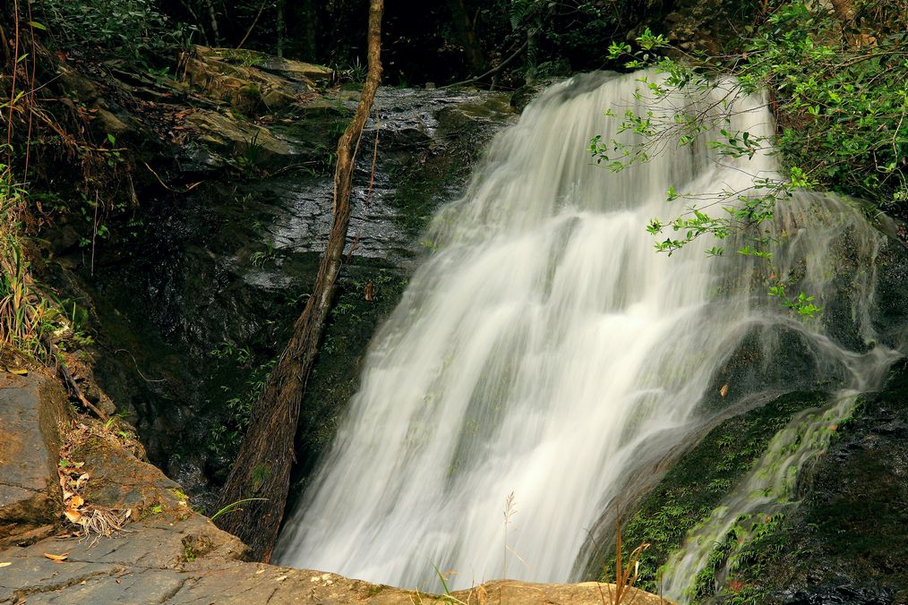 木龙瀑 摄影 郑大山人