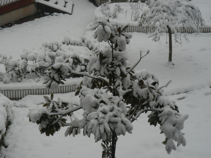 屋前雪景 摄影 仙人树