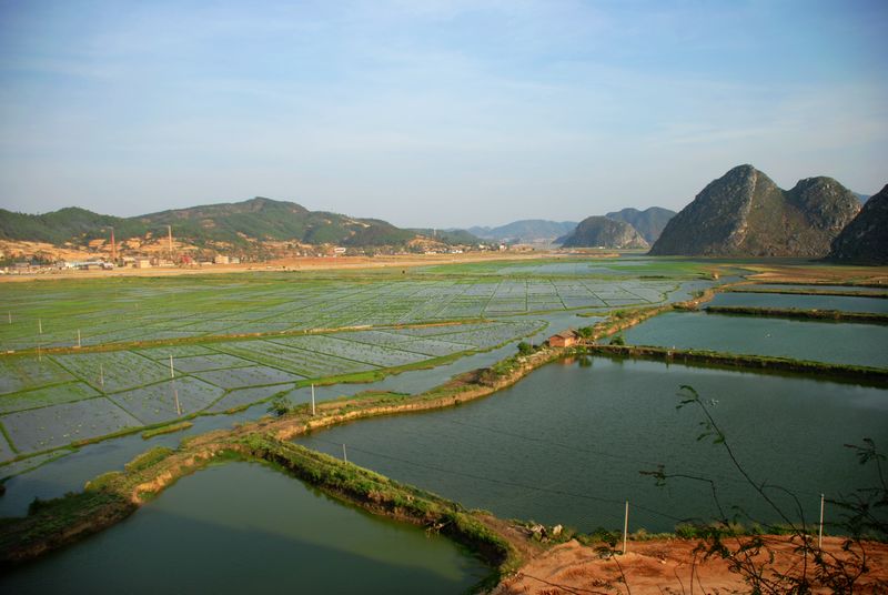 云南普者黑湿地1 摄影 纪军