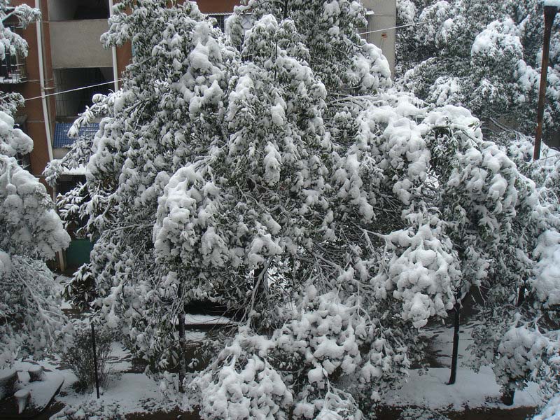 屋前雪景 摄影 仙人树