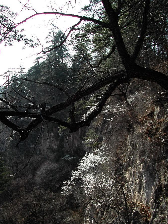 灵空山 摄影 沉积岩