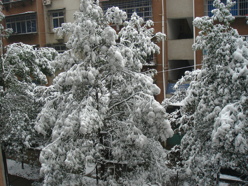 屋前雪景 摄影 仙人树