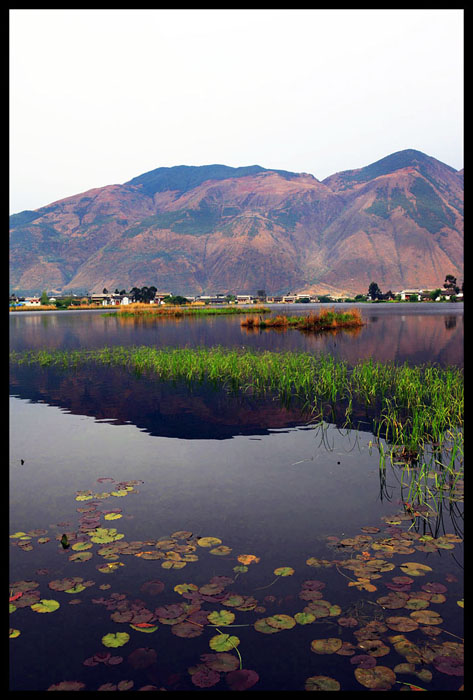 西湖小景 摄影 南蛮王