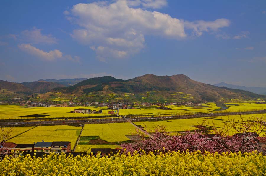 金色大地 摄影 金山居士