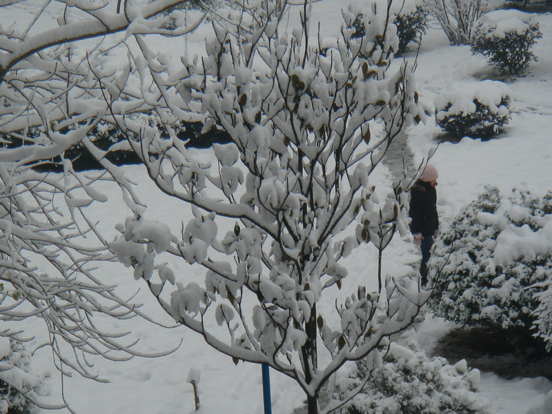 屋前雪景 摄影 仙人树