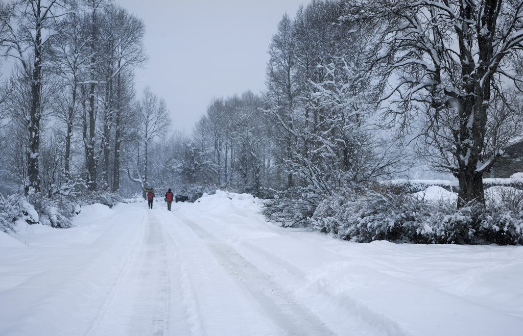 丰年好雪 摄影 葛达山