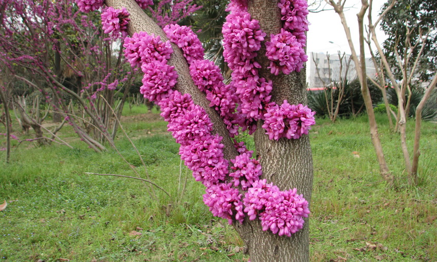 装饰2 摄影 沥油洗舀