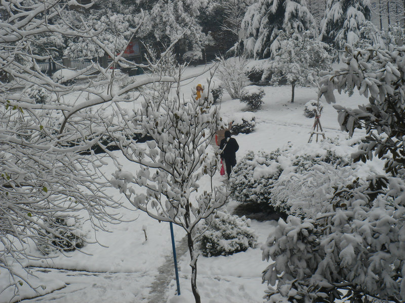 屋前雪景 摄影 仙人树