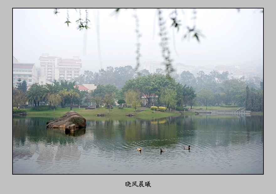 《诗意厦大》 摄影 晓风晨曦