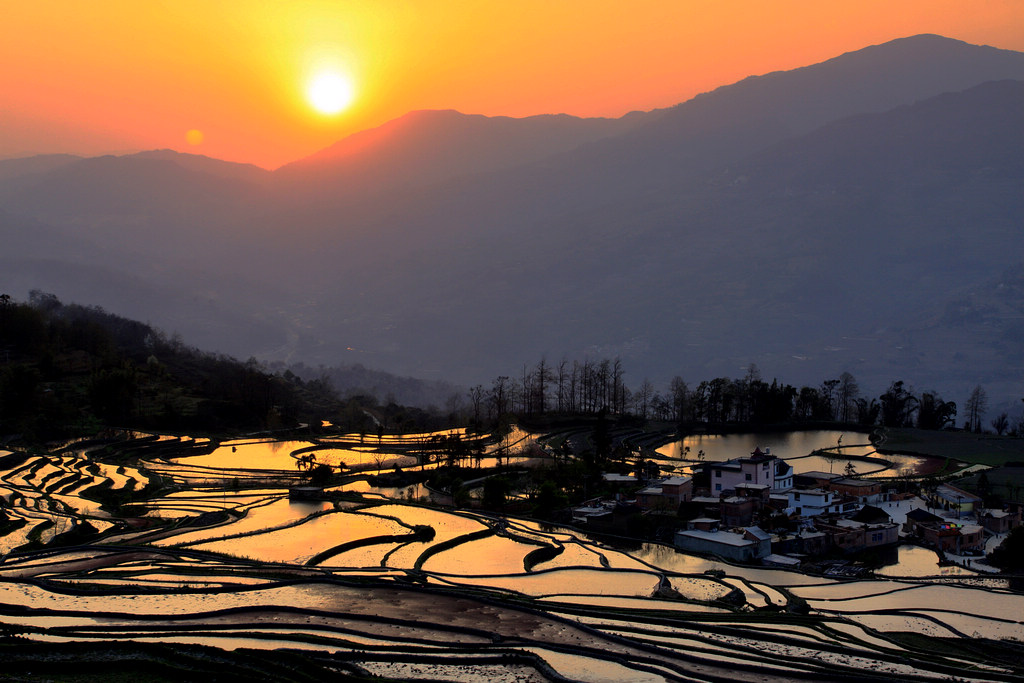 元阳梯田 摄影 山村大夫