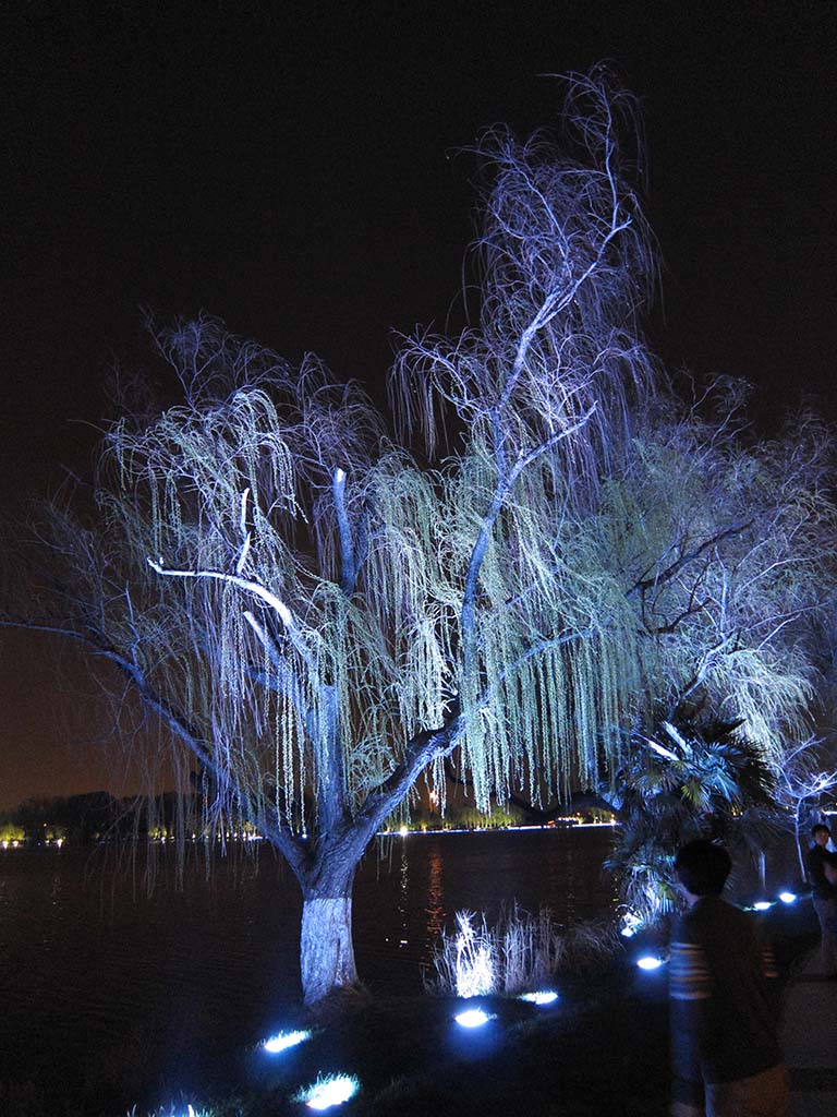 江边夜景 摄影 鲁鲁黑土