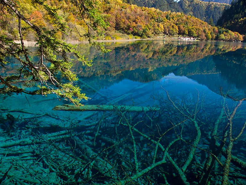 九寨天堂 摄影 舞柳仙踪