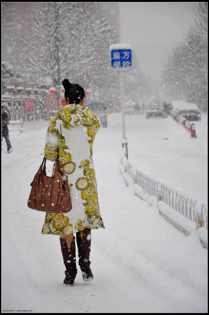 风雪丽人 摄影 田园城市