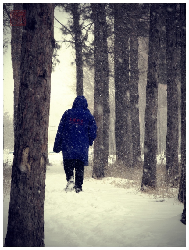 风雪路途 摄影 滈屾蓅渁