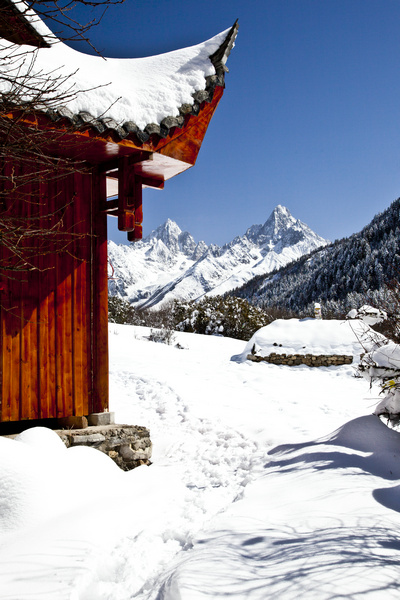 雪地 摄影 风了尘