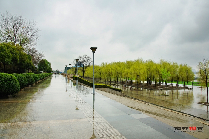 春雨江城2 摄影 禅林日记