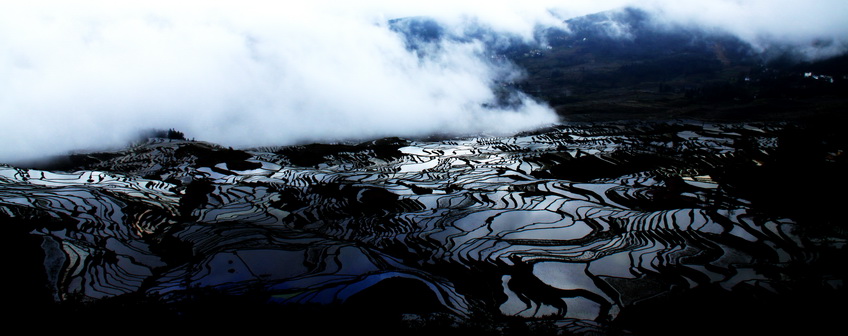 元阳梯田 摄影 中油天雨