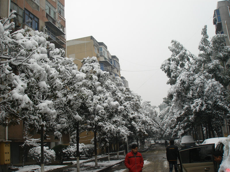 屋前雪景 摄影 仙人树