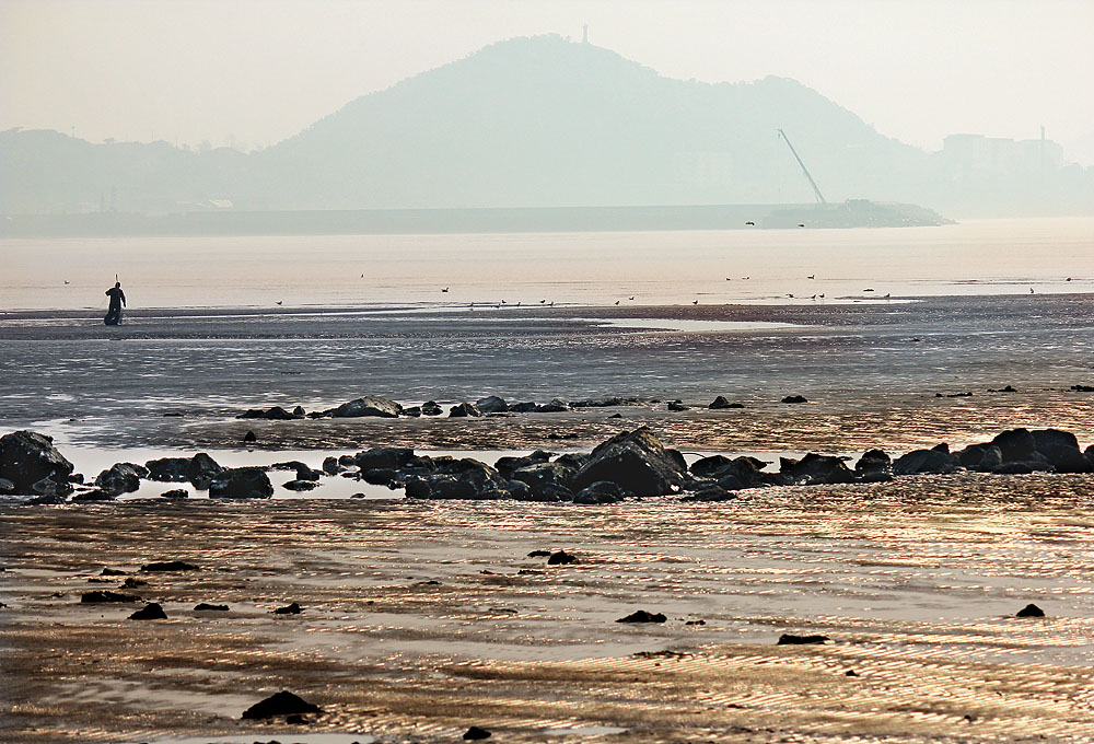 海湾晨韵 摄影 真金