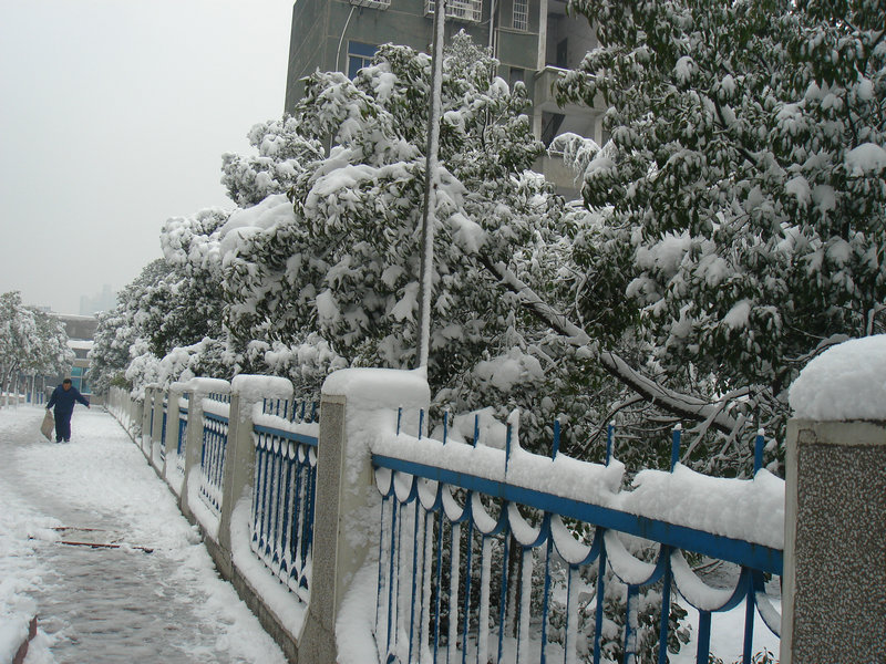 屋前雪景 摄影 仙人树