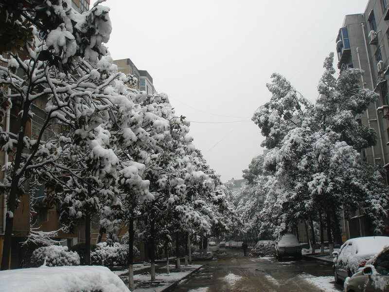 屋前雪景 摄影 仙人树