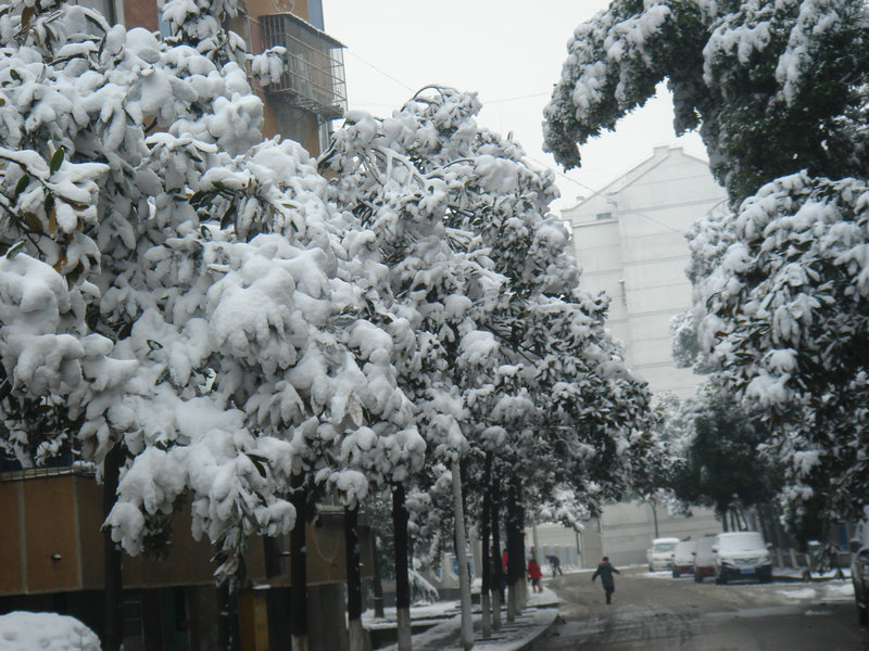 屋前雪景 摄影 仙人树