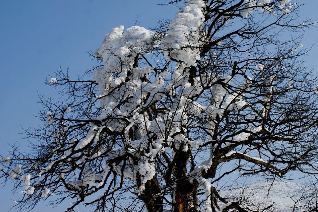 最后的冰雪 摄影 关河纤夫