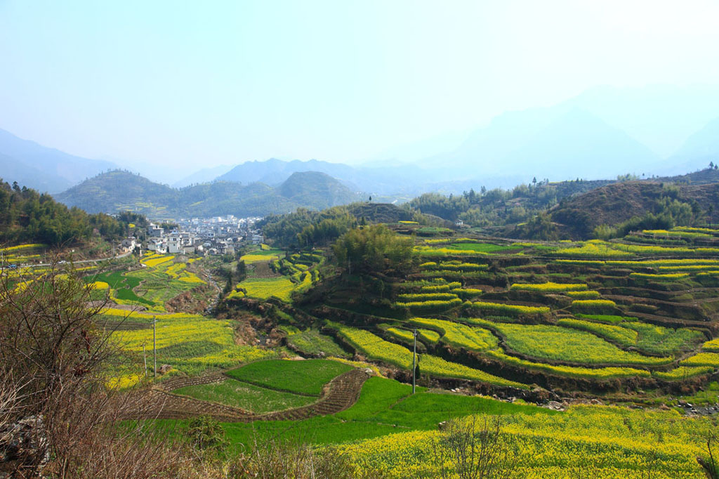 大山里的春天 摄影 青山居士