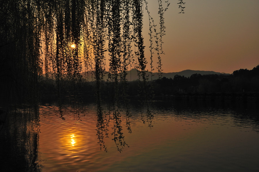 杨柳岸.夕阳 摄影 chkb2009