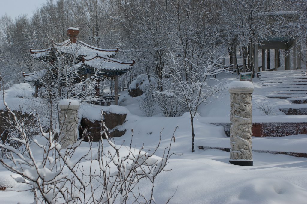 雪2 摄影 XJ不倒翁