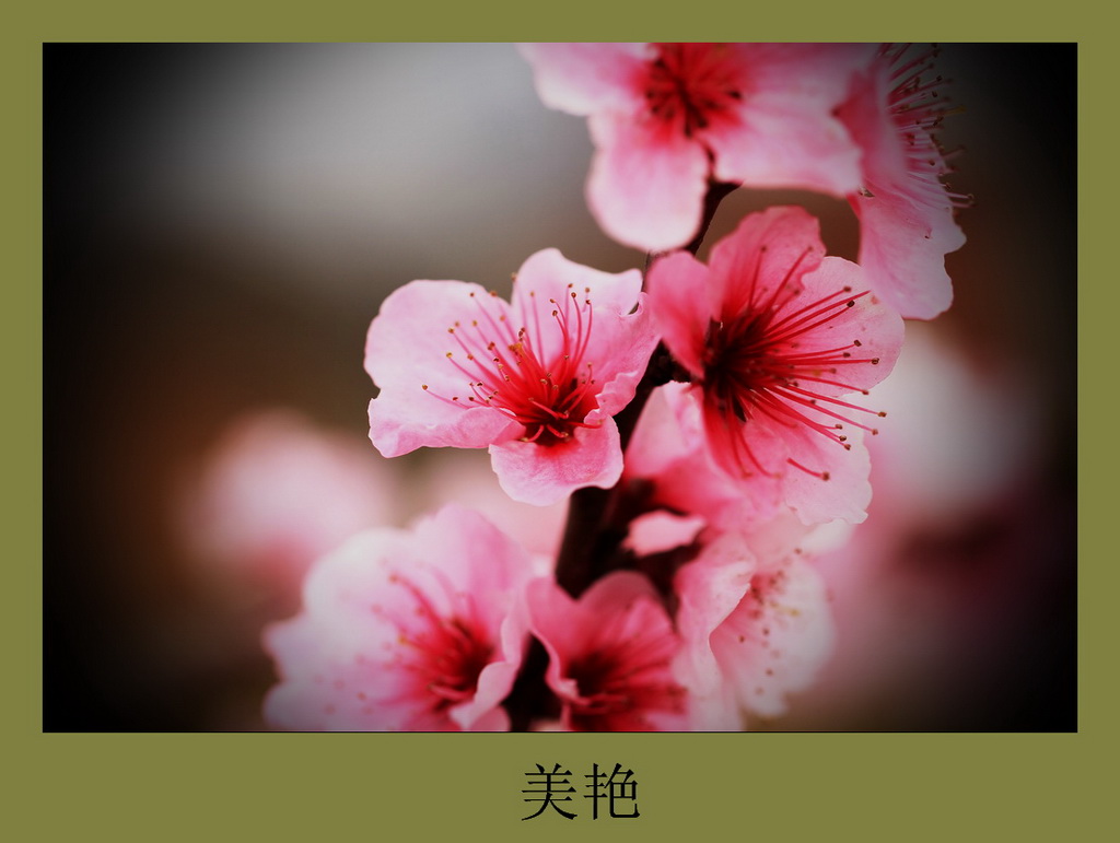美艳 摄影 仙居九华山
