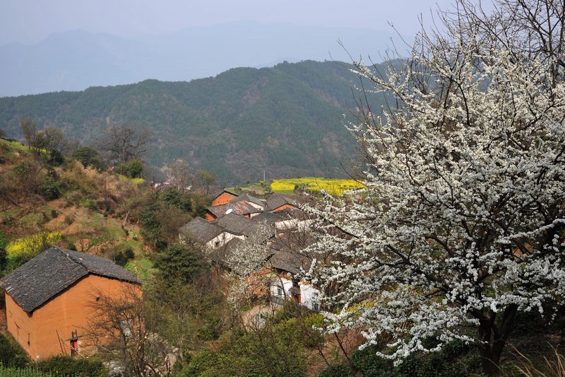 春到山村 摄影 叶韵