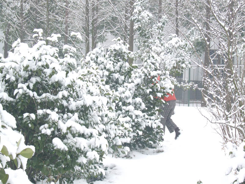 屋前雪景 摄影 仙人树