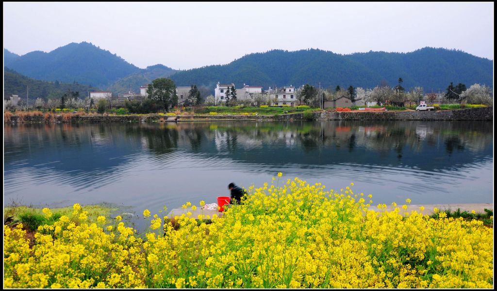 婺源江湾春景 摄影 欧阳小木