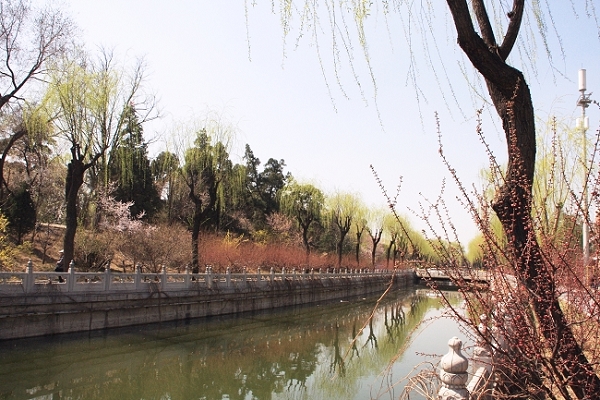 清华大学风景2 摄影 蛇山隐士