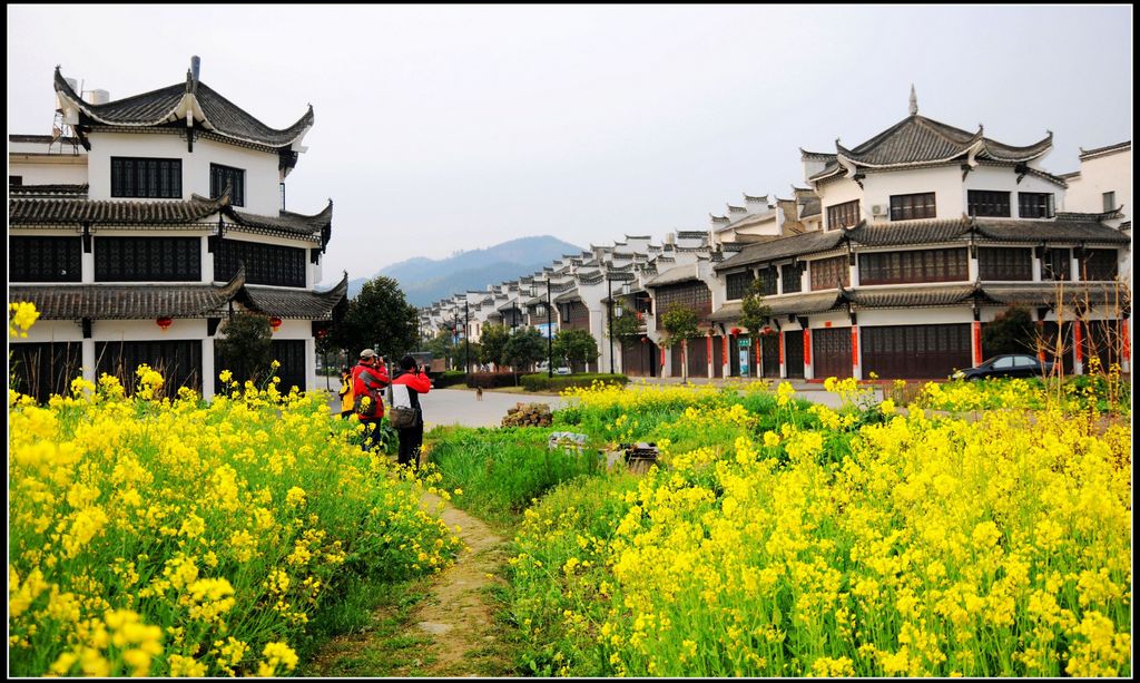 婺源江湾春景2 摄影 欧阳小木