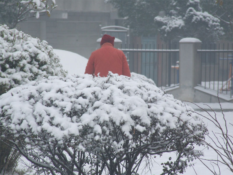 屋前雪景 摄影 仙人树