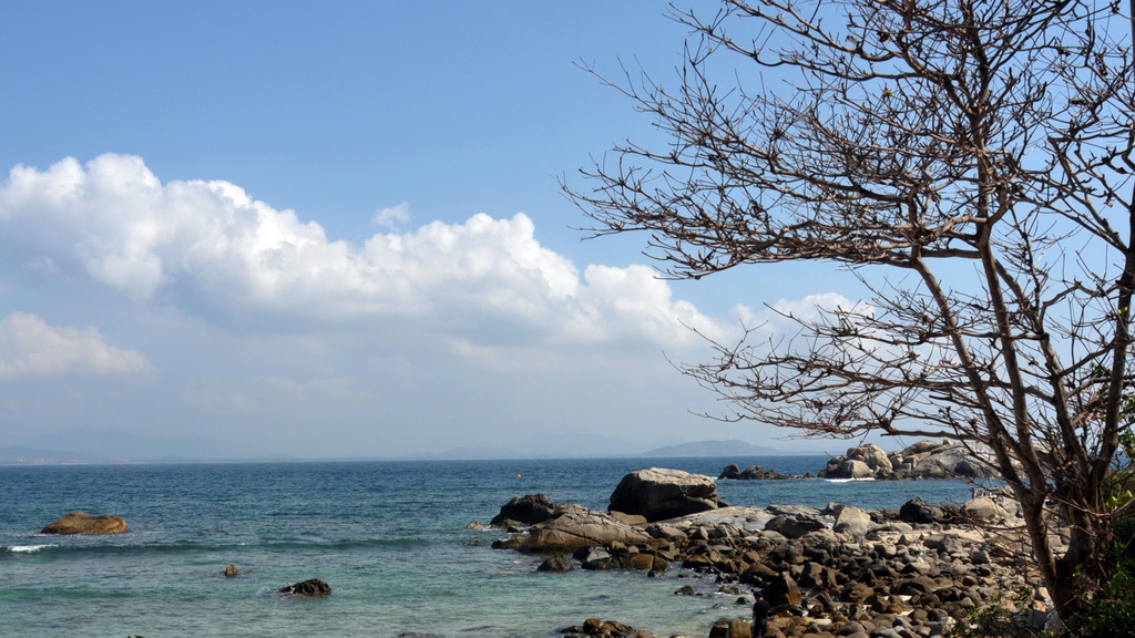 海景 摄影 紫东