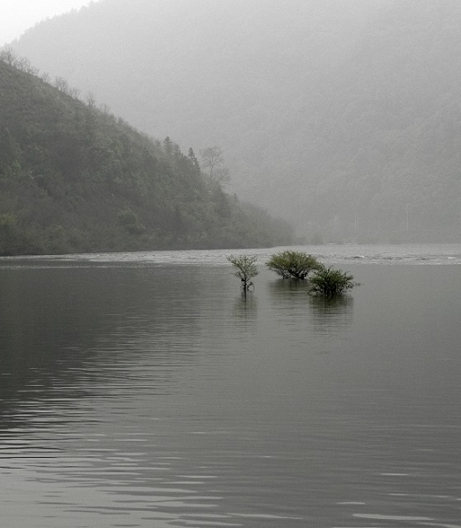 冬去 摄影 烂柯山