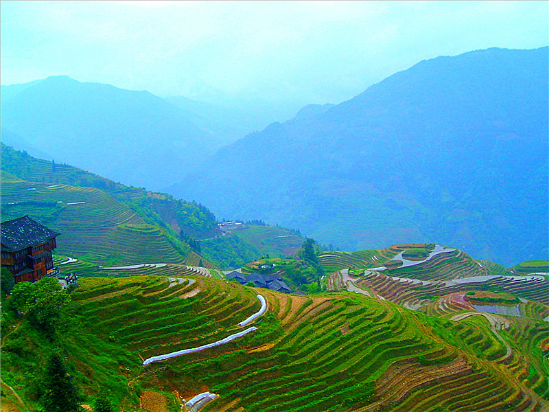 龙脊 摄影 baiguo