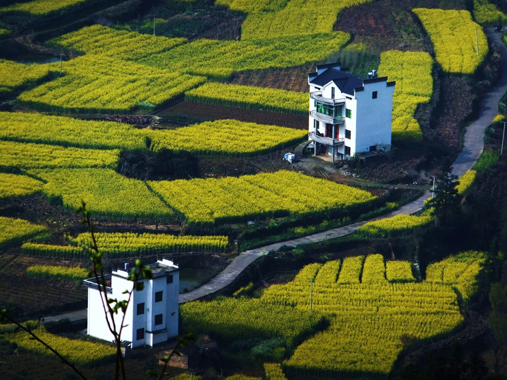 小康农家 摄影 fangning