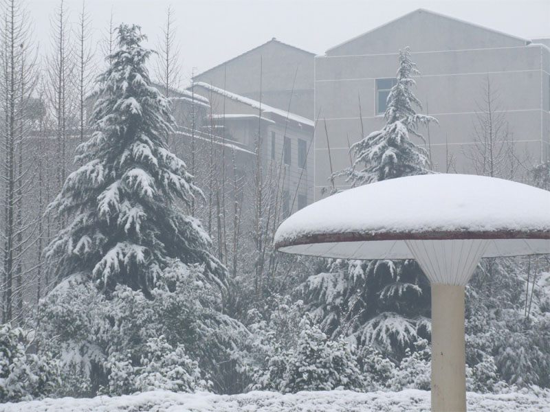 屋前雪景 摄影 仙人树