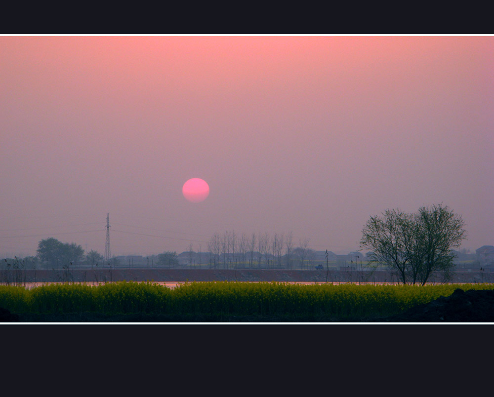 夕阳红 摄影 单行狼